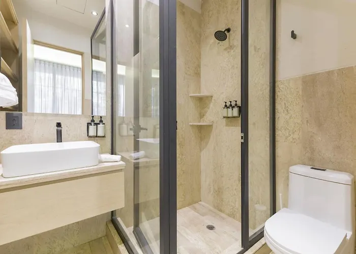 Apartment Hom 1a Capitalia Palacio Polanco 1br Mexico City