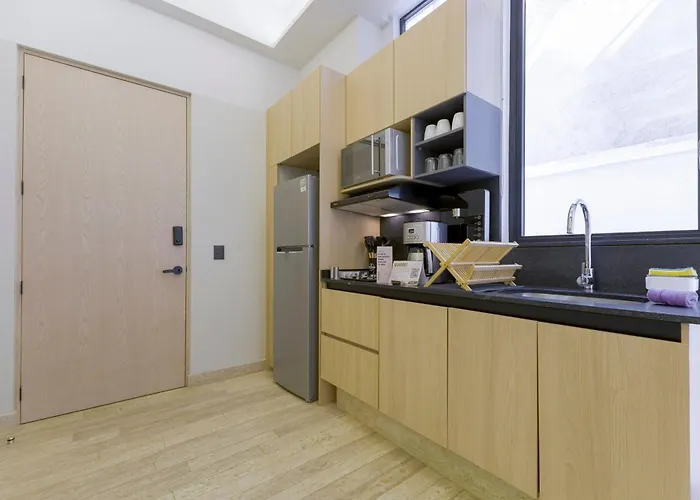 Hom 1a Capitalia Palacio Polanco 1br *