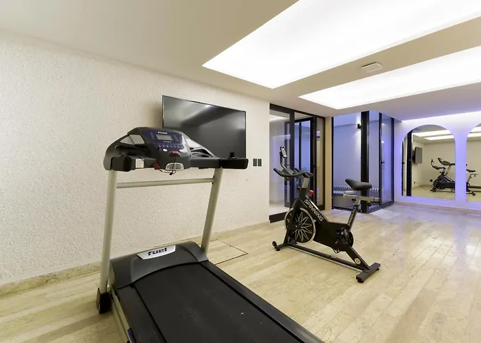 Hom 1a Capitalia Palacio Polanco 1br Apartment *